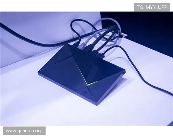 大发娱乐旗舰厅下载官网安全保障措施，严格防护玩家信息，确保每一次游戏都安心放心