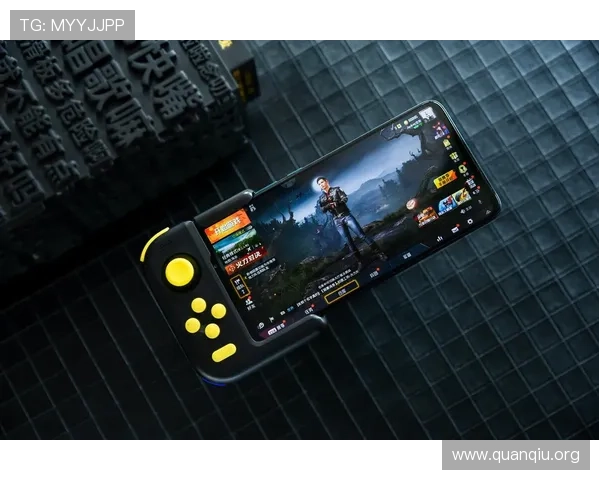 大发娱乐旗舰厅登录线路常见问题及解决方案助力平台稳定运行