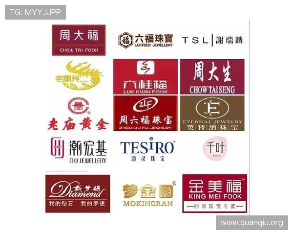 详解ag永乐国际f66平台的合作伙伴与行业背景，增强您的信任感