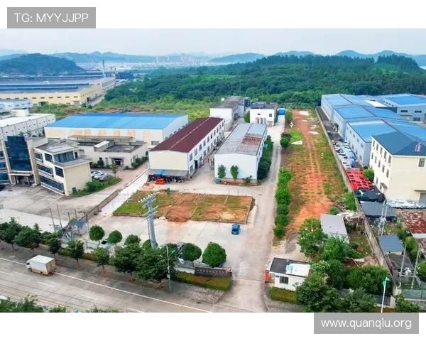 bg大游真人登录线路图详细解析帮助玩家快速找到稳定登录通道指南
